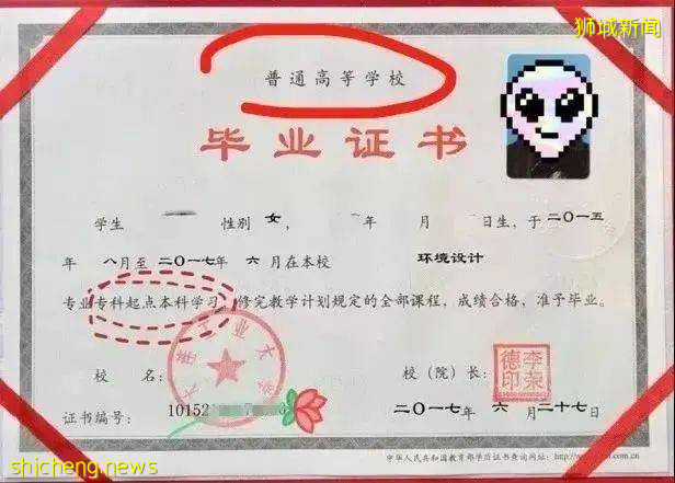 內卷下專科生如何逆風翻盤，新加坡低門檻專升本碩！（上） .