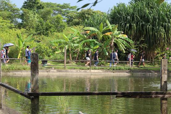 新加坡有这么多适合遛娃的农场,你竟然还不知道