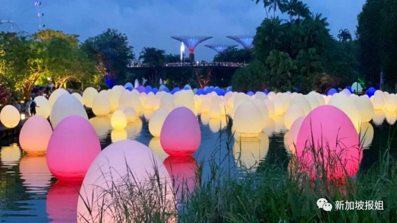 又是刷爆朋友圈的节奏～ 滨海湾花园的沉浸式艺术展开始了