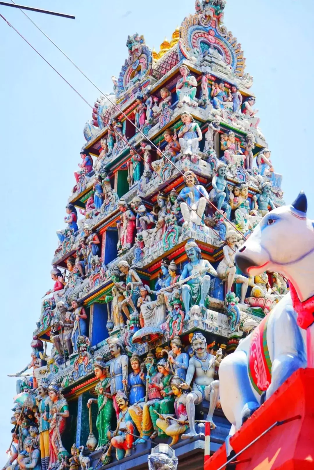 魅力獅城 行走南洋，穿越舊時光