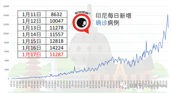 “病人抓我的手说，太痛苦了不要再救我了”