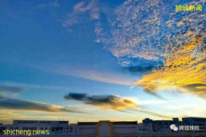 神兽出山！新加坡复课第一天，朝霞万丈!