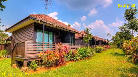 钞票能力加持,新加坡计划打造未来农场