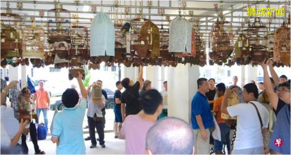 逾百鸟笼存卫生隐忧 居民联署促拆“鸟儿角落”