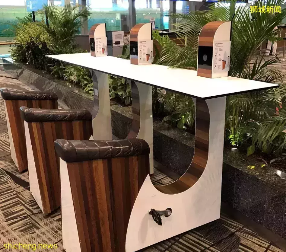 几十张图带你了解别样的新加坡