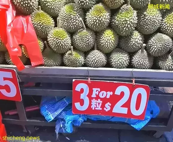 实拍实测！新加坡芽笼那些2元、5元的榴梿到底好吃吗