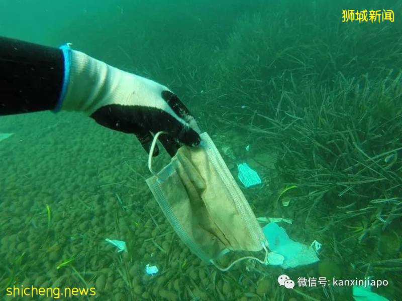 疫情期间乱丢口罩手套，严重污染了环境