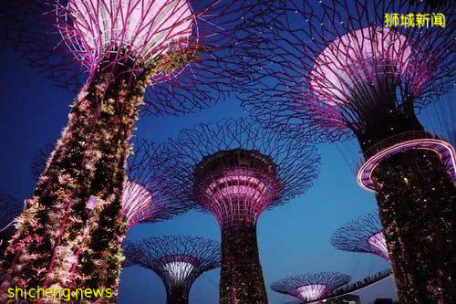 11月1日开始，留学生入境新加坡须完全接种疫苗