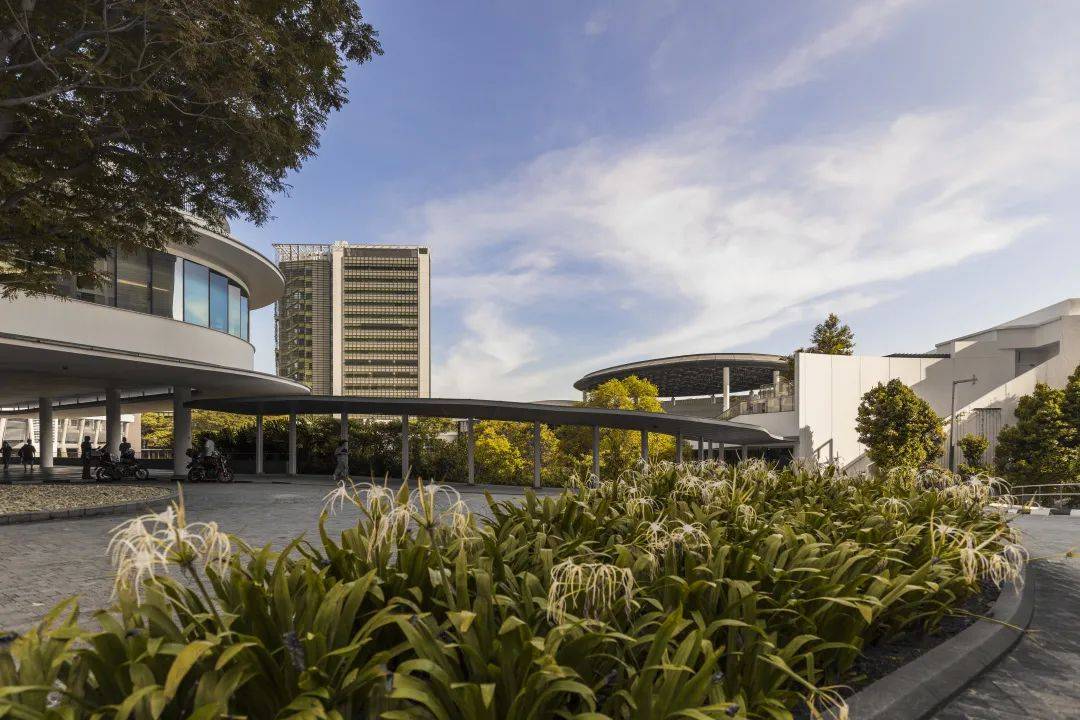 人間四月,來感受新加坡國立大學的春天