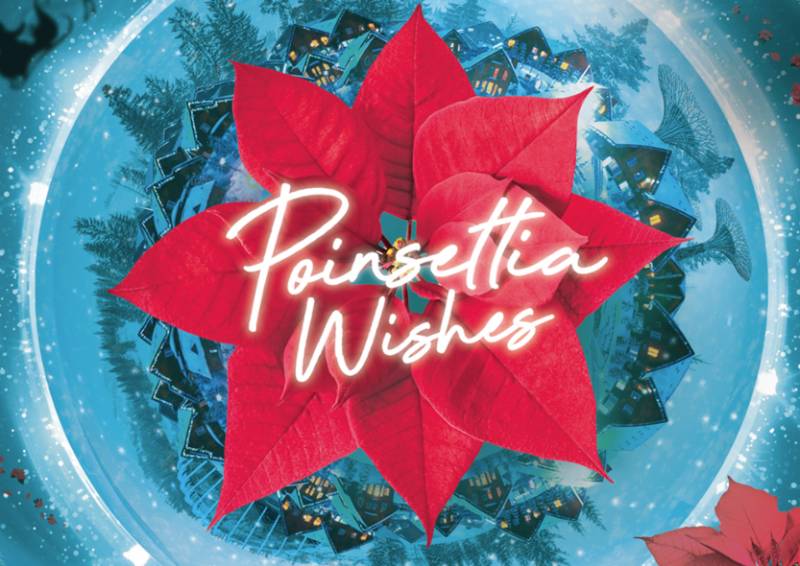 聖誕去哪嗨?從白天到晚上,從線下到線上,濱海灣公園聖誕活動不停歇