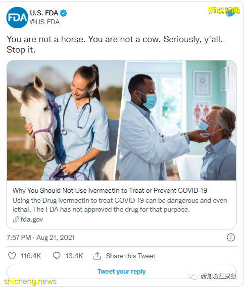 新加坡有人宁可团购动物驱虫药作为防疫“偏方”,也不打疫苗