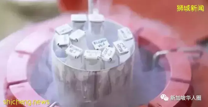 新加坡宣布允許女性冷凍卵子,手術費約$8000,每年冷凍費$500