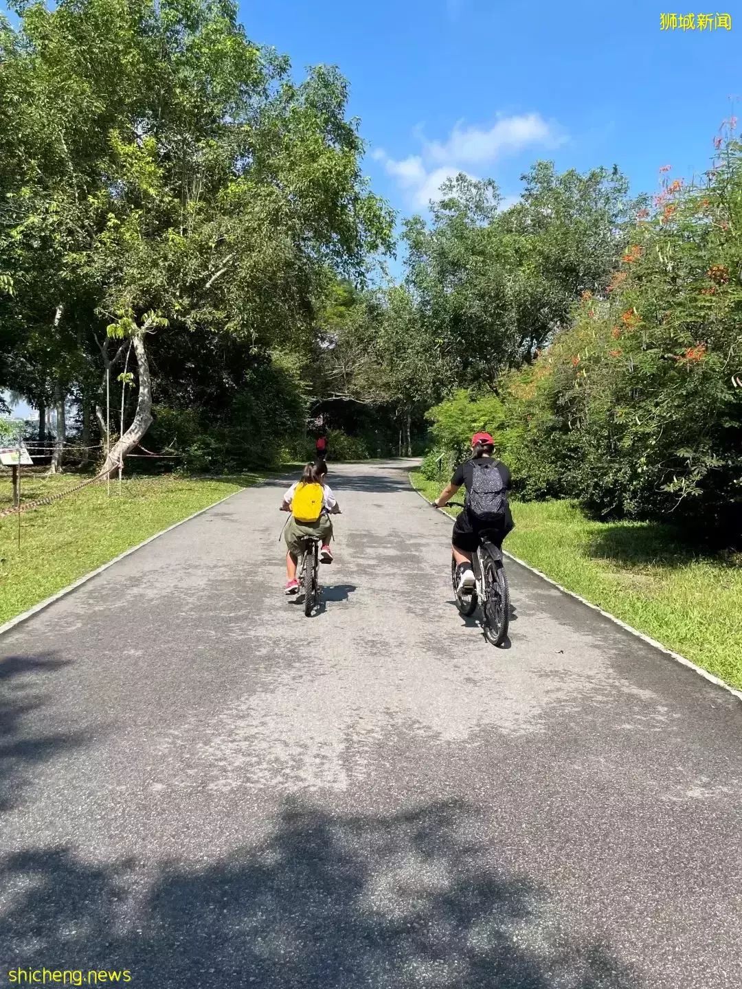 榴梿、野豬、猴子、各種魚蟹……體驗“新加坡最後的農村”