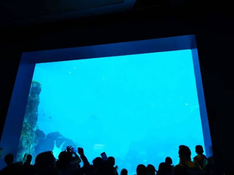 最後悔的一次旅遊經曆:新加坡