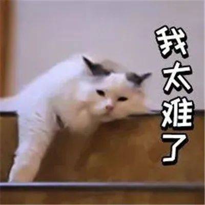 新加坡留學 2021年留學申請時間規劃指南