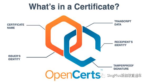 中国学生拿假文凭骗父母拿高薪?且看新加坡和中国如何打假