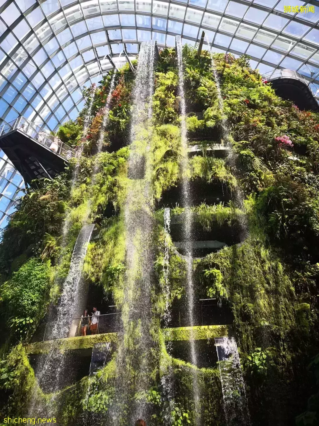 云游 邂逅狮城的24小时