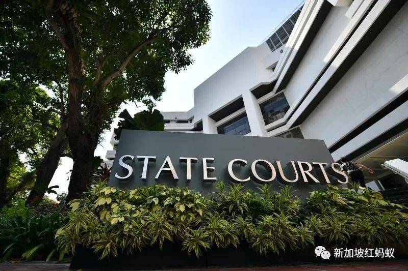 新加坡政府：性犯罪不能被轻判，休想用“高学历”或“前途光明”当求情理由