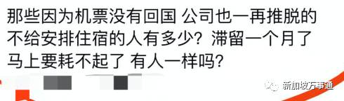 中国劳工求助：新加坡准证被割、公司不给买回国机票，应该怎么办