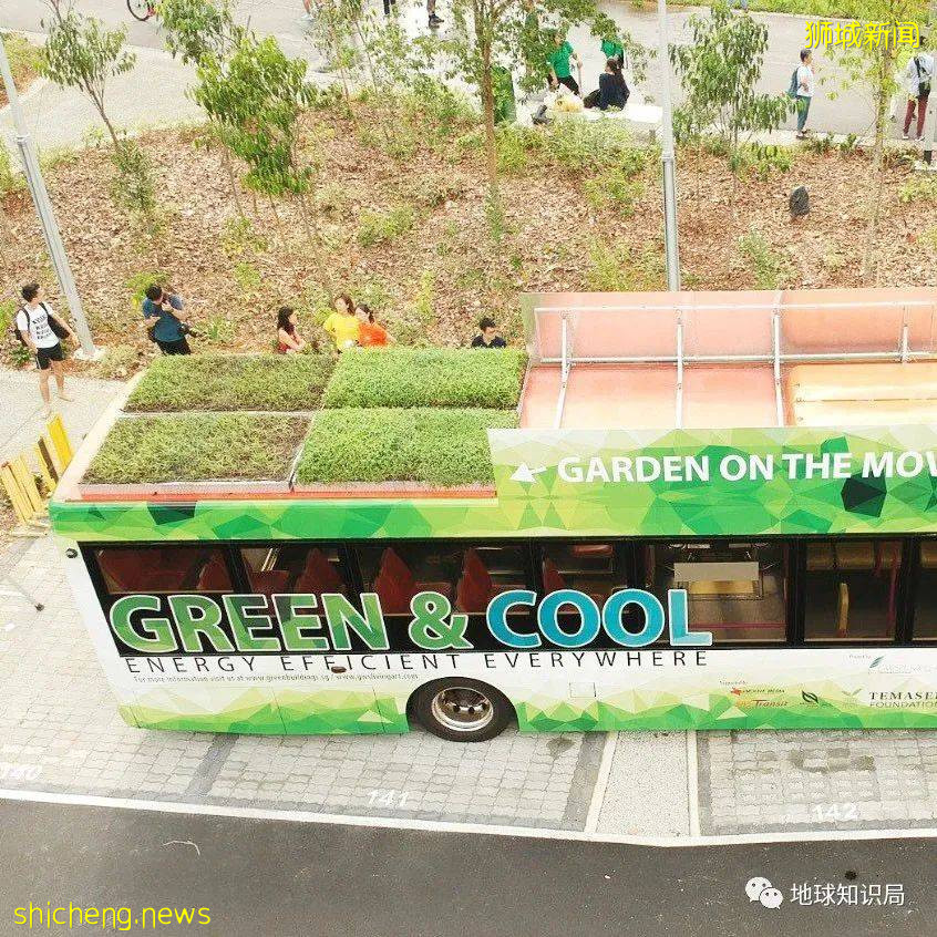 你知道新加坡爲什麽還被稱爲海綿城市嗎