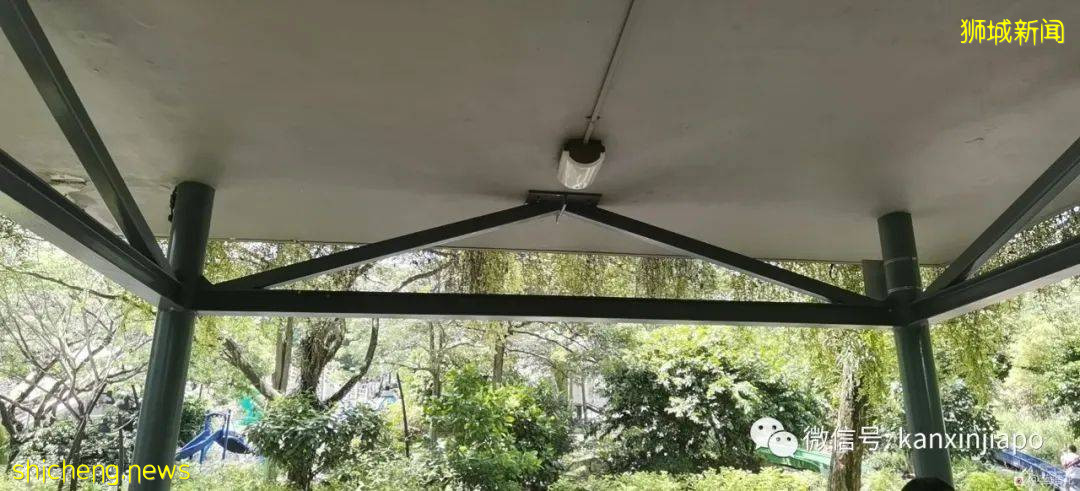 遛娃圣地海军部公园,超多大滑梯,大人孩子一起嗨