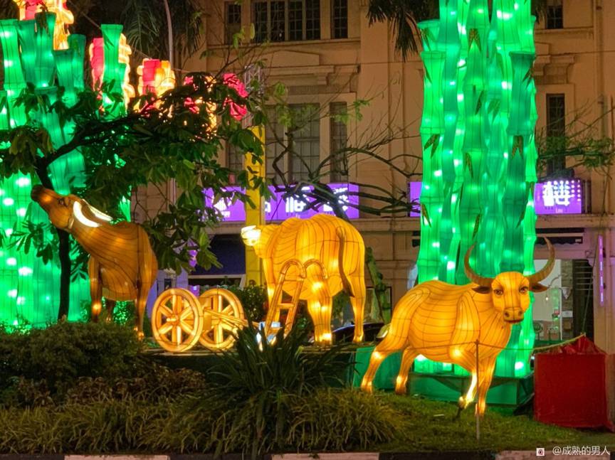 滿滿年味～牛車水農曆新年亮點已開啓，牛氣沖天