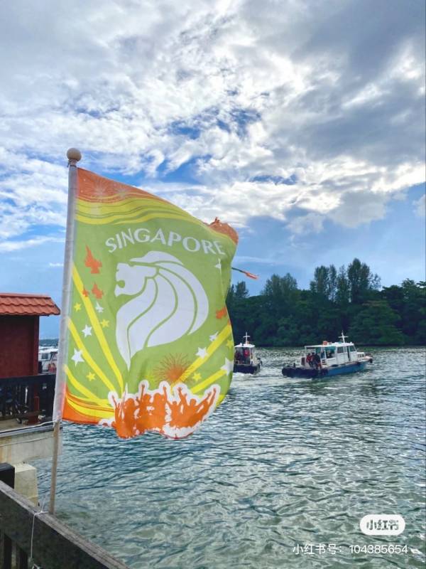 新加坡多元化自然生態!Chek Jawa Wetlands 島上濕地公園🏝 徒步探索、沿海浮橋邂逅美景