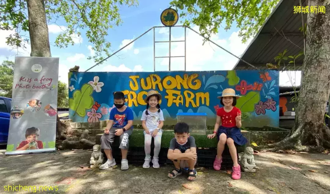 下水抓蛙、摘菜摸鱼、开土摩托……我带娃体验了一把新加坡的农家乐