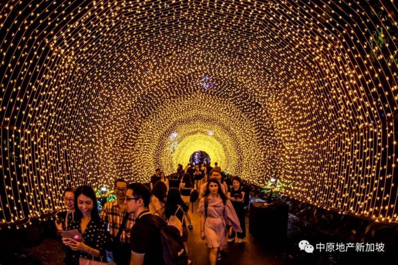 HOHOHO! 新加坡2020年聖誕節最受歡迎的5個拍照打卡景點