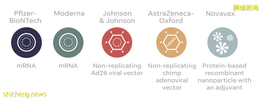 在新加坡打科興和輝瑞“待遇”不同！衛生部長：這個條件滿足後，會取消區別