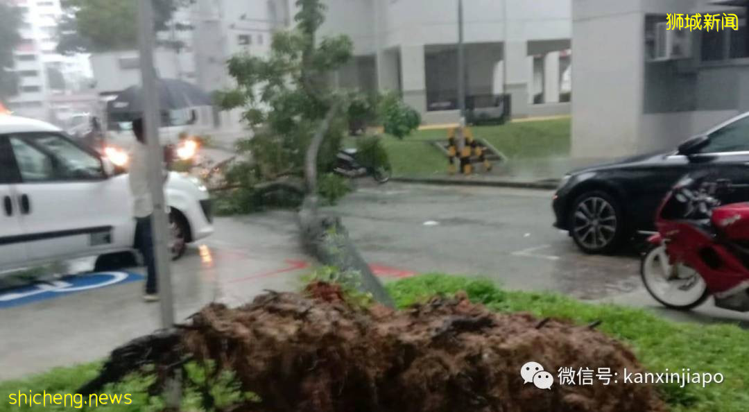 新加坡狂下豪雨,多处变汪洋,瞬间“入冬”