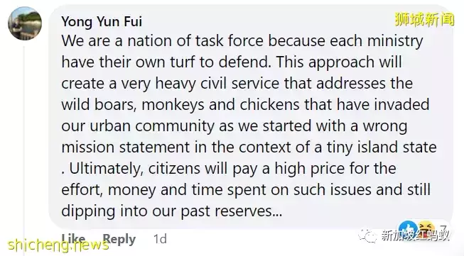 新加坡特色!野鸡有“鸡权”,遭居民投诉鸡啼扰民必须成立工作小组解决问题