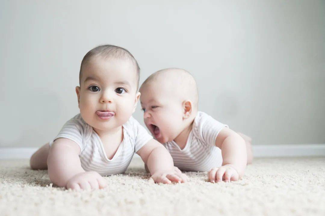雙胞胎寶寶13個月大就開始找家教！新加坡虎媽太拼了