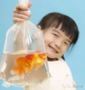 新加坡最大的漁場，35年曆史！免費賞魚，$6釣魚，還有魚療足浴