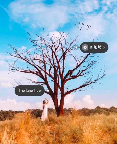 周末假裝出國遊!新加坡最具異國風情的小衆景點推薦