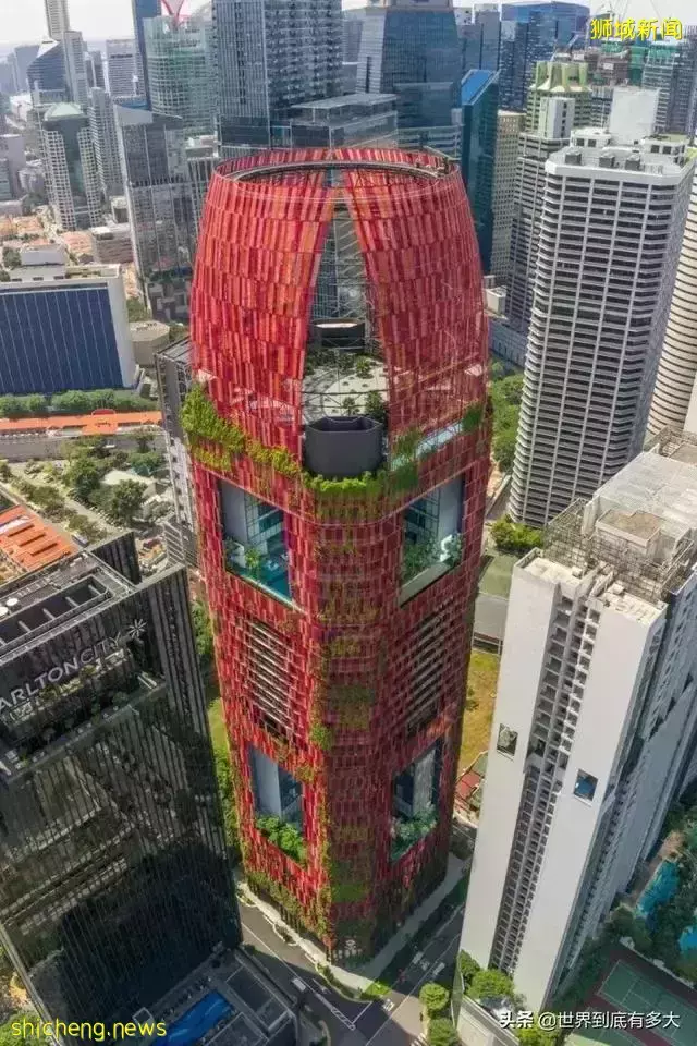 45张照片,带你见识新加坡,不为人知的另一面