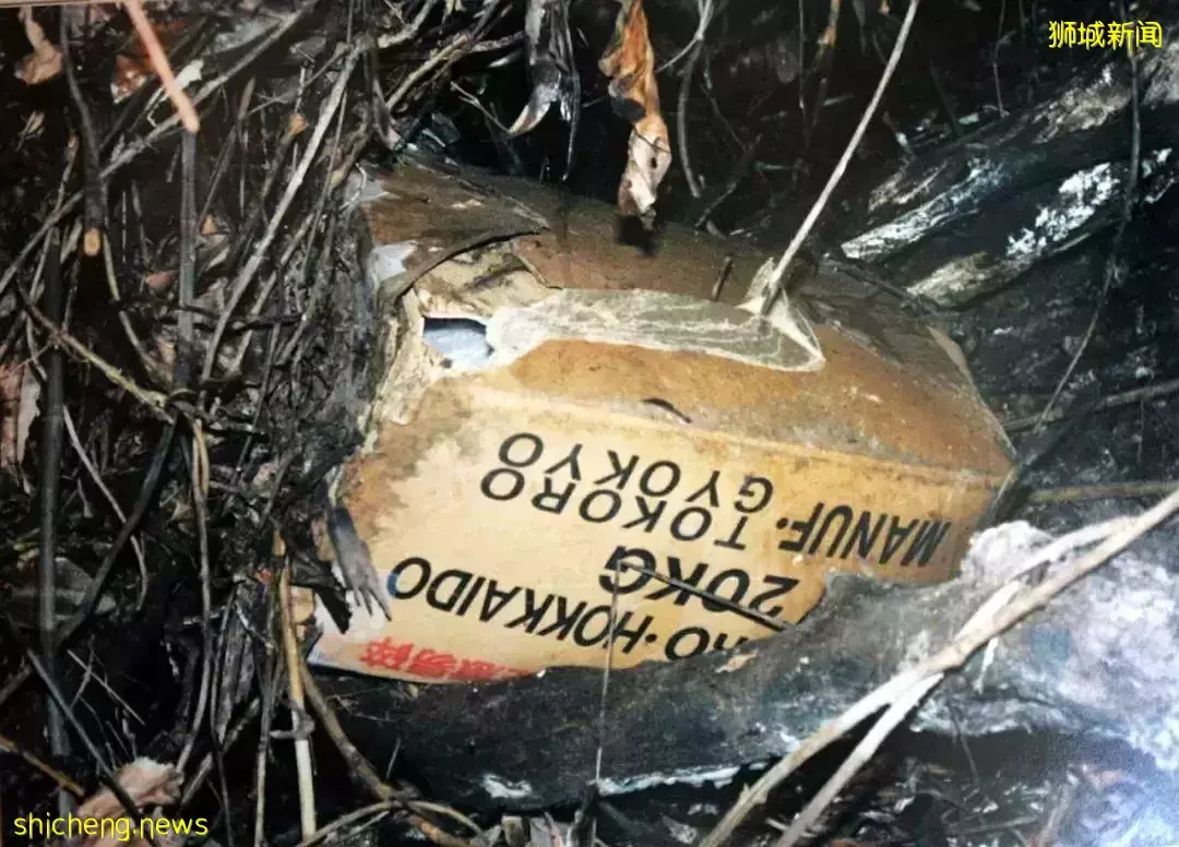 中国8岁女童在新加坡闹市失踪，21天后在水果箱发现被虐杀尸体