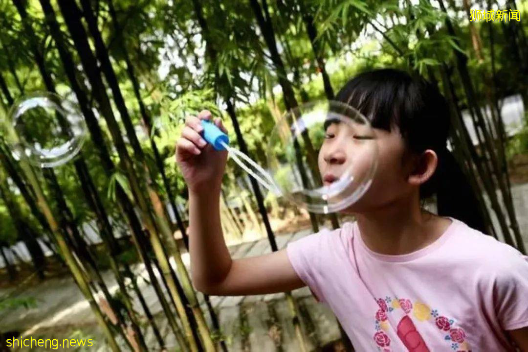 2歲半學琴，11歲拿下國際大賽冠軍，這位14歲新加坡小提琴家，是如何一路走來的