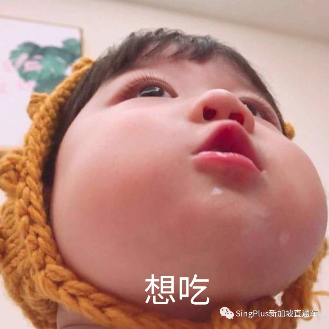 珍珠奶茶全面占领新加坡！连必胜客都推出了珍珠奶茶披萨