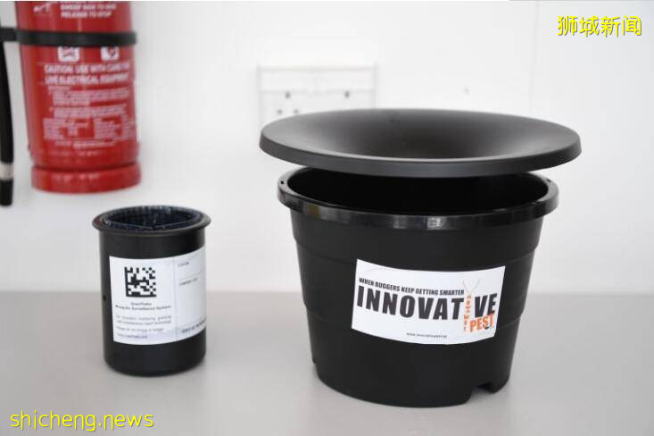 走进新加坡看疫情下全球最佳机场,NO!是樟宜“方舱”!