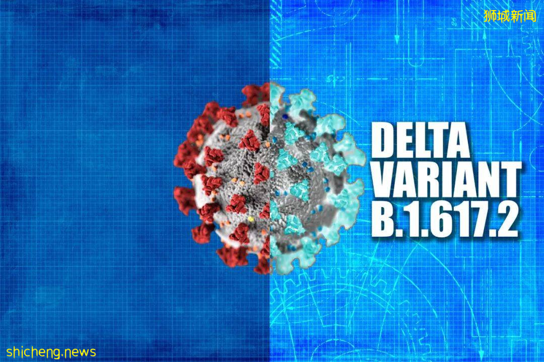 如果新加坡日增1000例,更多人要回國?專家警告:別只靠疫苗,要堅決防疫