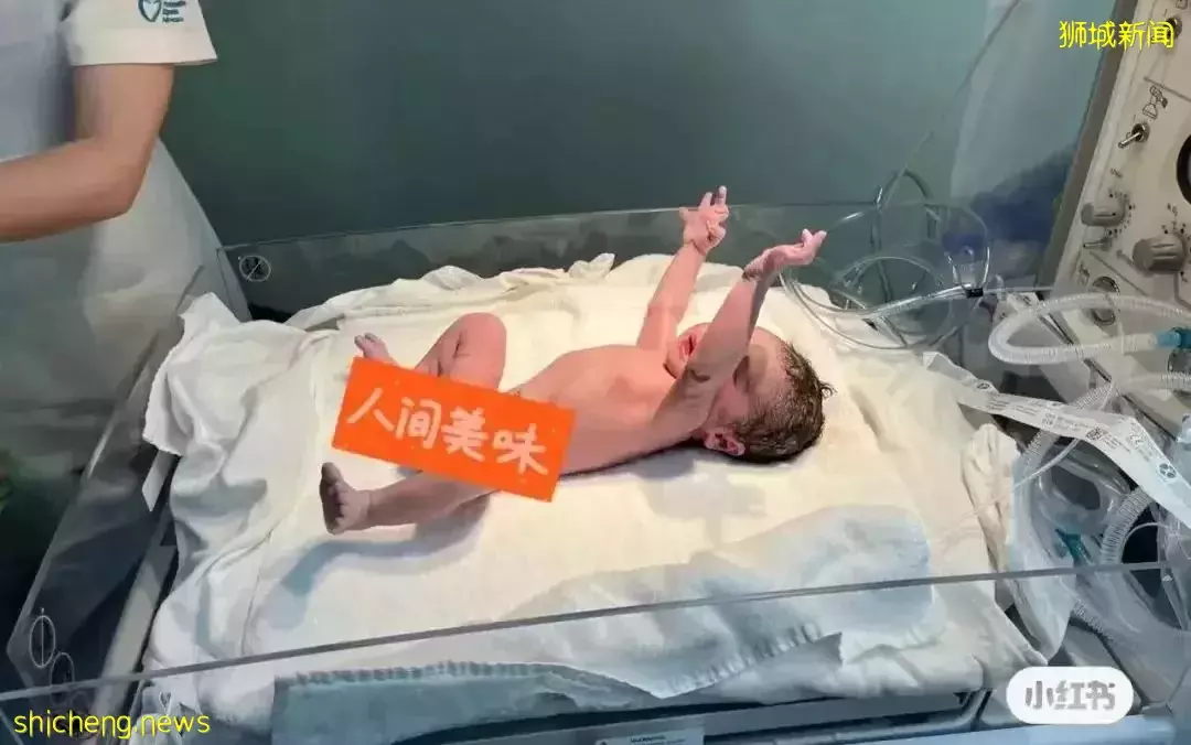 360度全景记录在新加坡生娃坐月子的经历,还有月子装备的清单呦