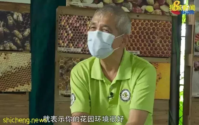 副校长转行养蜂 希望推广人与蜜蜂共存