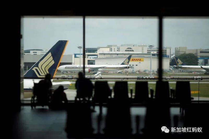 想出國想得有點瘋的新加坡人,出國夢今年還得夢裏相思