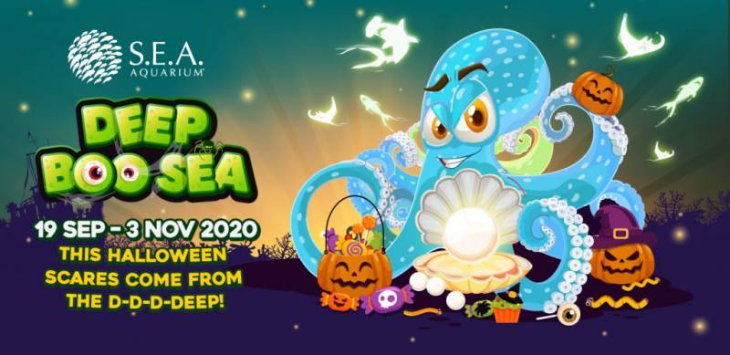 调皮鬼请留步 🎃 新加坡万圣节好去处,不要宅在家,出外吓一吓