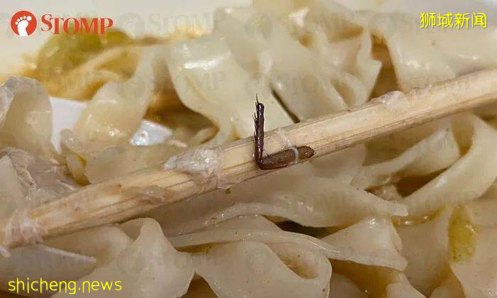 惊!“我在樟宜机场的这个餐厅打包,竟然吃出一只蟑螂!”