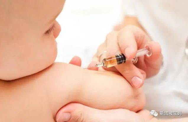 帶孩子在新加坡接種疫苗要注意哪些?寶媽親身經驗告訴你