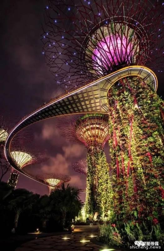 新加坡原形毕露 | 令各国艳羡的教育资源大曝光