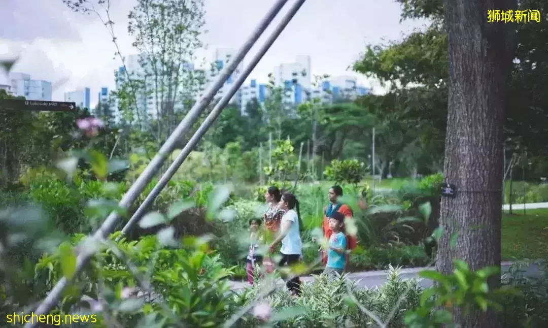 爲什麽選擇新加坡?3分鍾了解新加坡的優勢