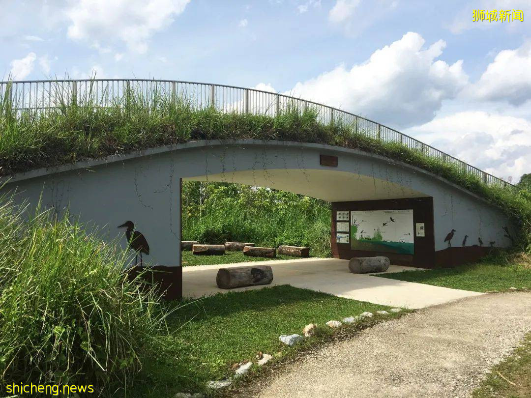 周末帶娃去徒步!10米高木塔、農場、木棧道,湖天一色好美